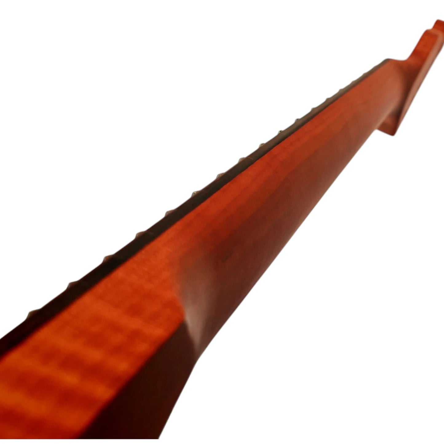 Tele neck Roasted flame maple with rosewood fretboard (Satin)